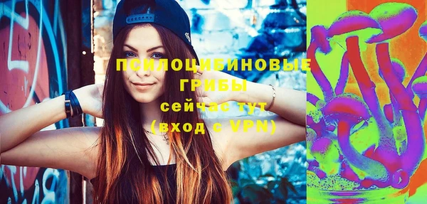 стаф Алзамай