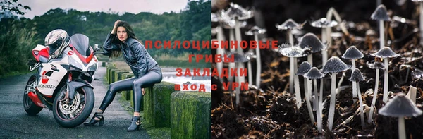 спиды Алексеевка