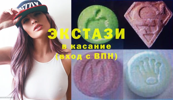 стаф Алзамай