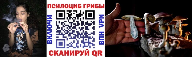 Галлюциногенные грибы Cubensis  купить  цена  kraken tor  Сочи 