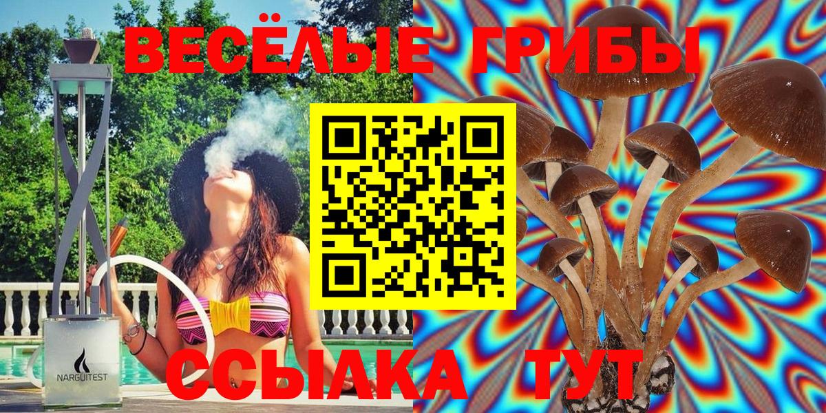 Сочи  Галлюциногенные грибы Psilocybine cubensis  Вход с VPN 